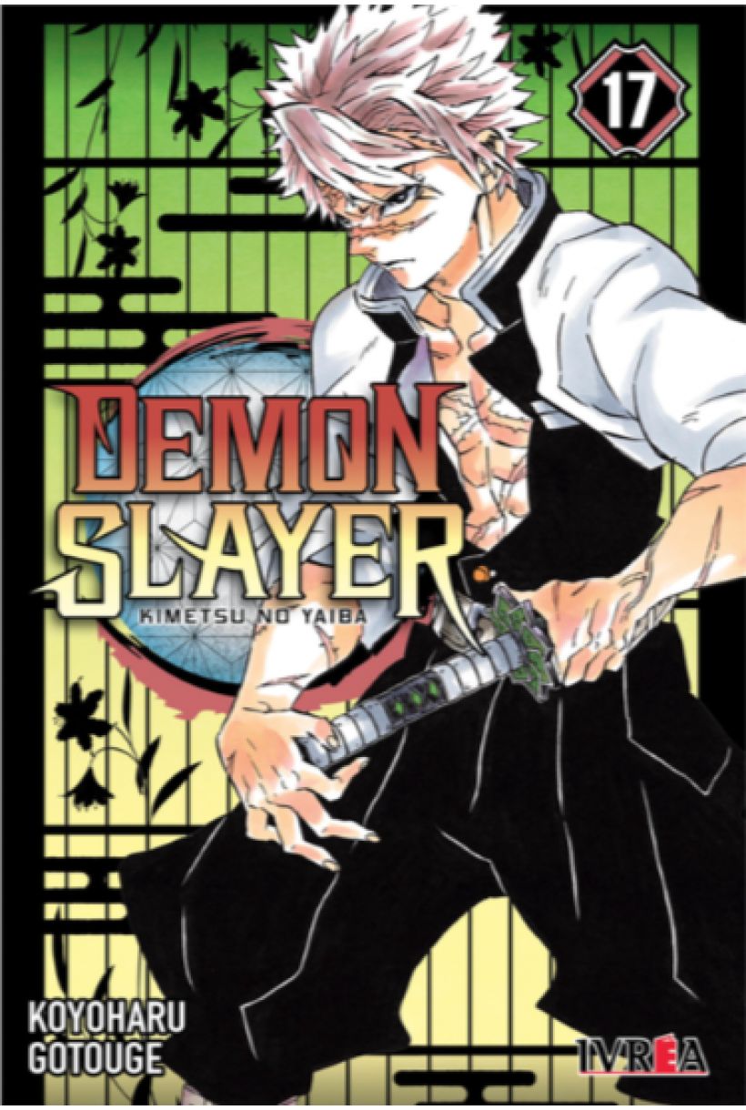 Demon Slayer 17